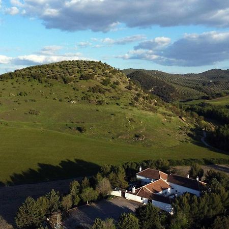 阿尔卡拉拉雷亚尔 Cortijo La Gineta旅馆 外观 照片