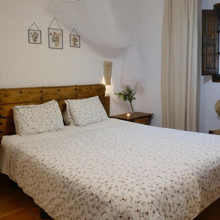 阿尔卡拉拉雷亚尔 Cortijo La Gineta旅馆 外观 照片
