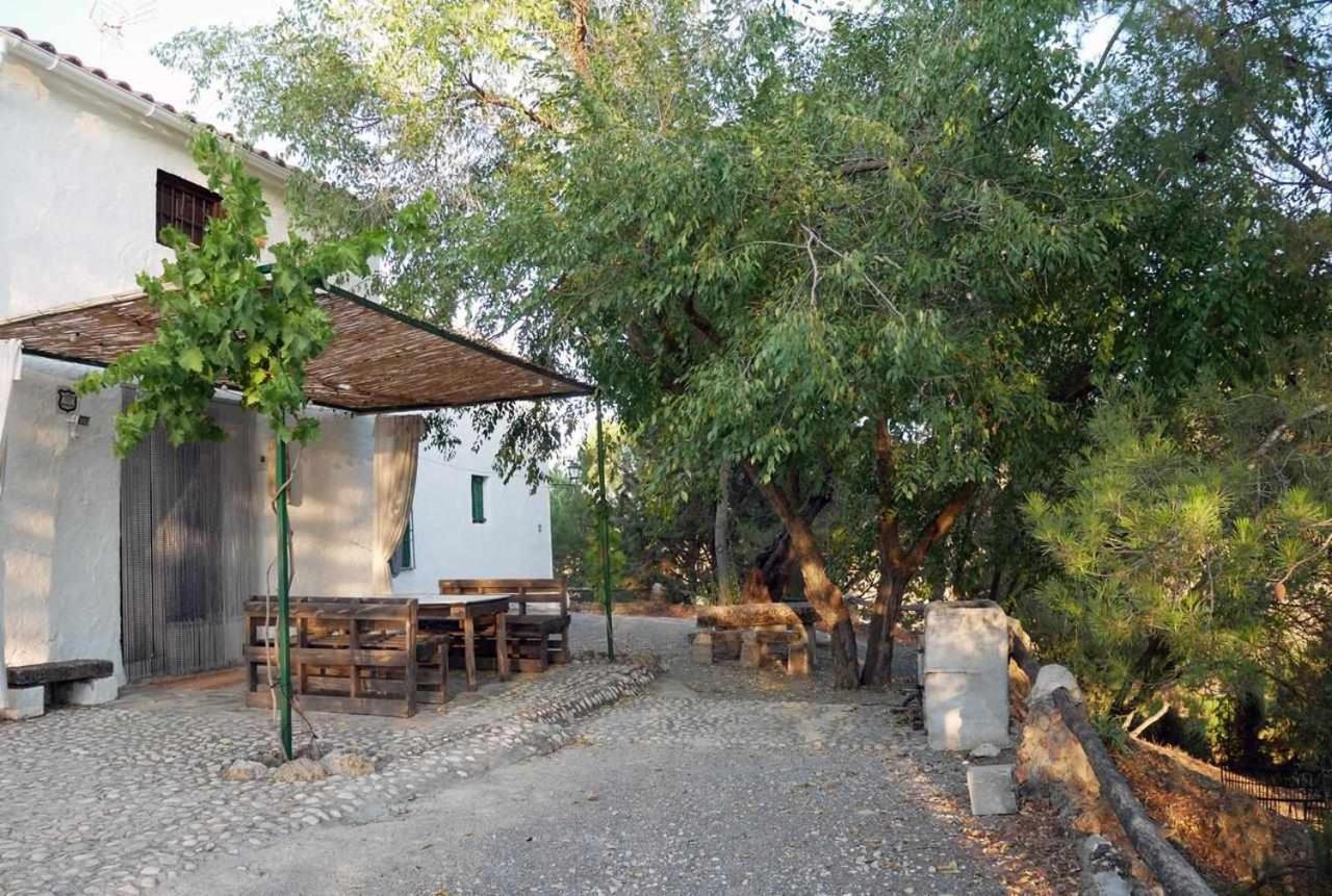 阿尔卡拉拉雷亚尔 Cortijo La Gineta旅馆 外观 照片