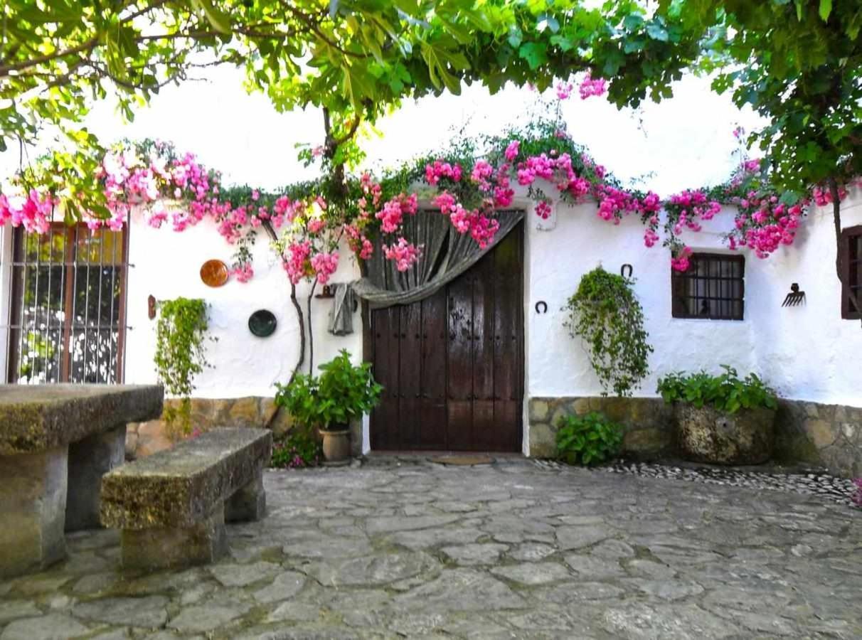 阿尔卡拉拉雷亚尔 Cortijo La Gineta旅馆 外观 照片