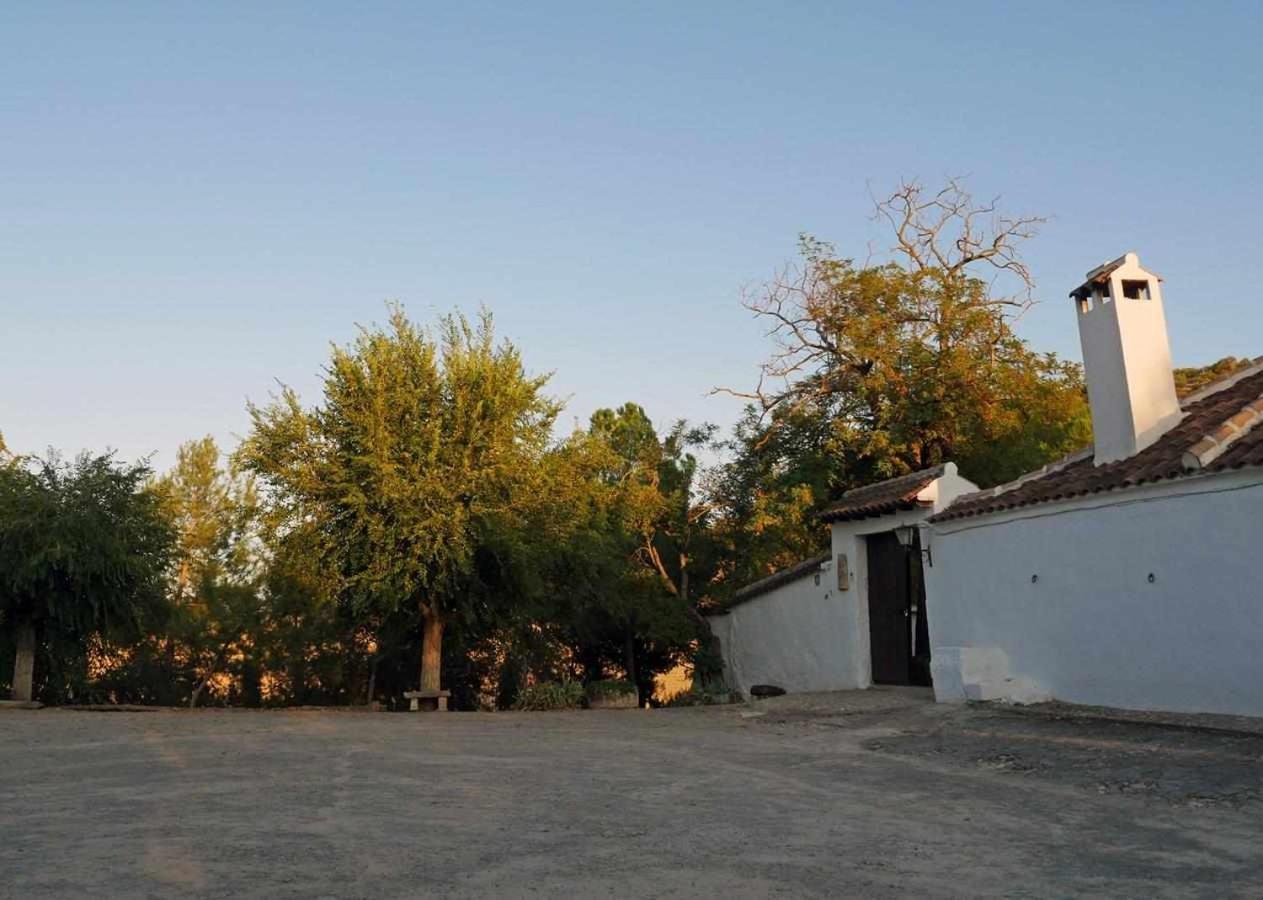 阿尔卡拉拉雷亚尔 Cortijo La Gineta旅馆 外观 照片