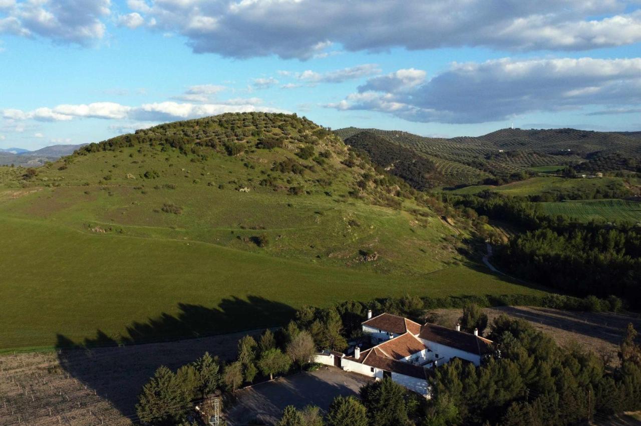 阿尔卡拉拉雷亚尔 Cortijo La Gineta旅馆 外观 照片