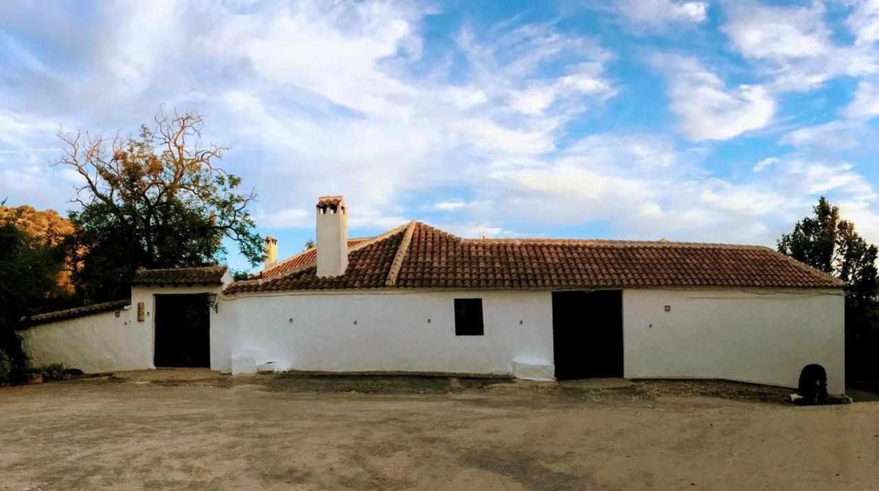 阿尔卡拉拉雷亚尔 Cortijo La Gineta旅馆 外观 照片
