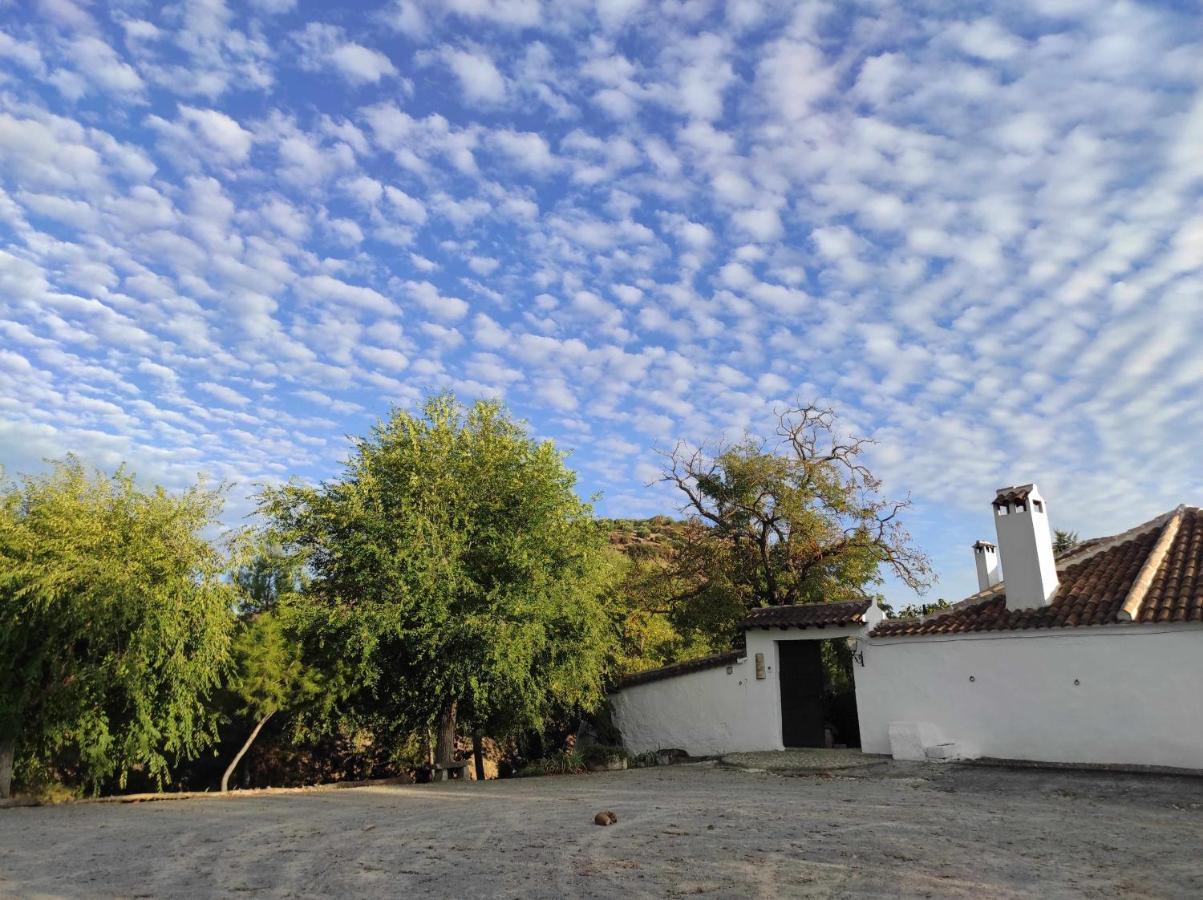 阿尔卡拉拉雷亚尔 Cortijo La Gineta旅馆 外观 照片